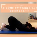 【朝ストレッチ】ストレス発散！イライラを治めるストレッチ　猫の姿勢ストレッチ